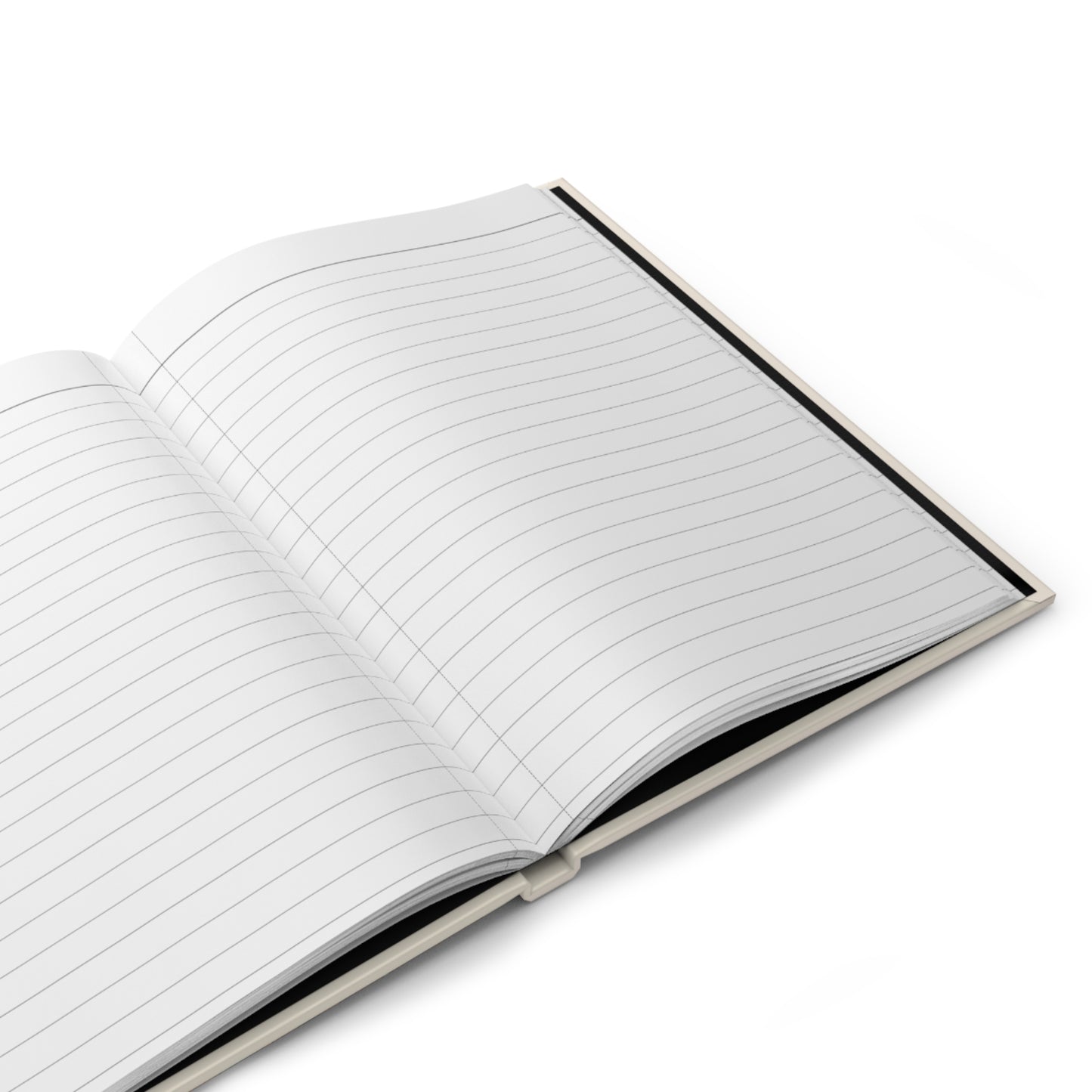 Sassy Diva Journal – Sleek